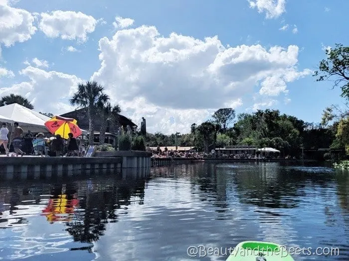 Wekiva Island Wekiva River Beauty and the Beets