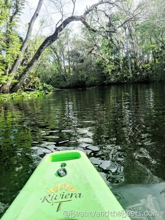 Wekiva Island green kayak Beauty and the Beets