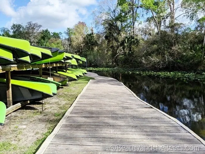 canoe boardwalk Wekiva Island Beauty and the Beets