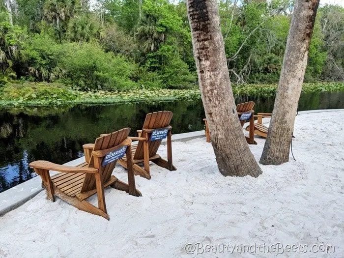 white sand Wekiva Island Beauty and the Beets