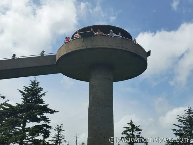 Clingmans Dome observation Beauty and the Beets