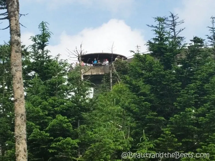 Clingmans Dome observatory Beauty and the Beets