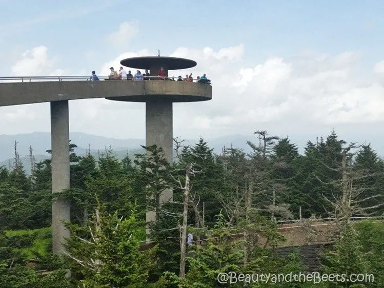 Clinmans Dome Smoky Mountains Beauty and the Beets