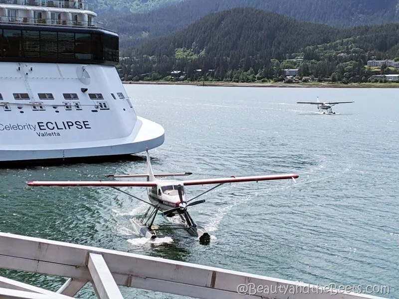 Float plane Juneau Alaska Beauty and the Beets