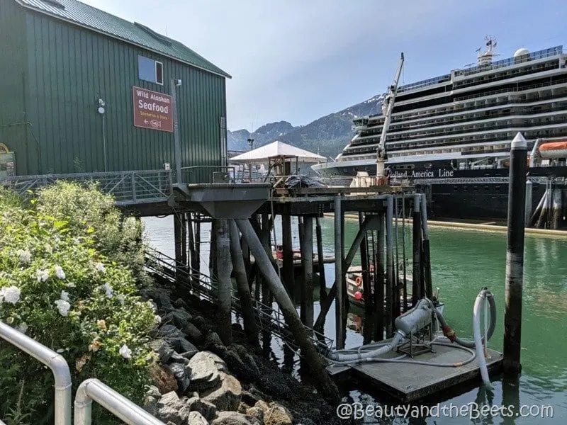 Wild Alaska Seafood Fishery Juneau Beauty and the Beets