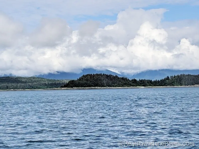 Auke Bay Beauty and the Beets