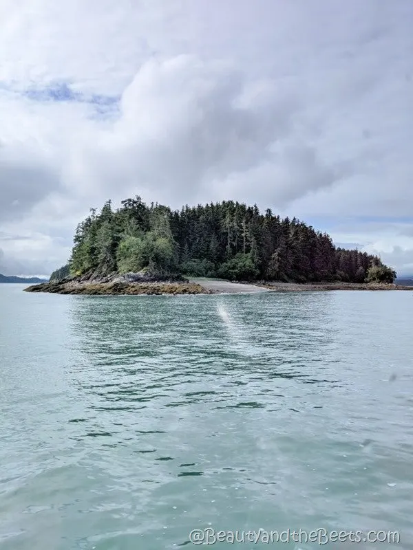 Auke Bay Island Beauty and the Beets