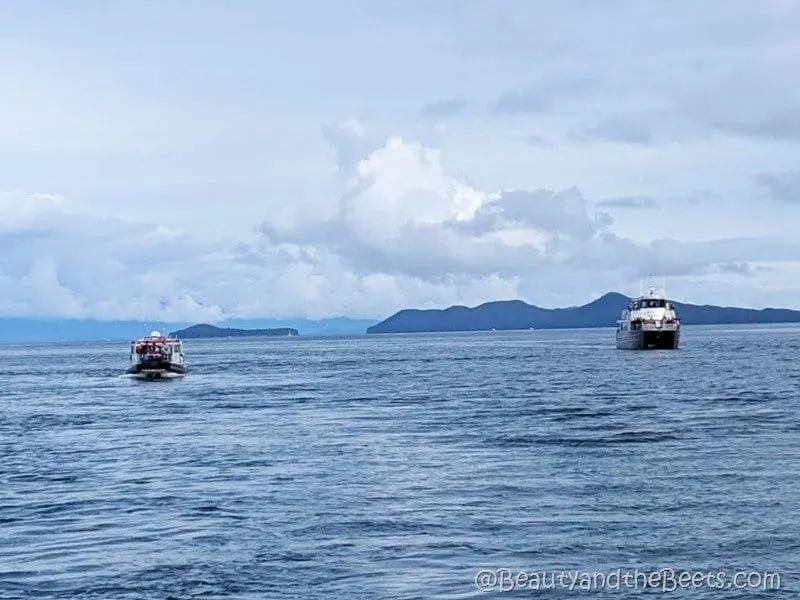 Auke Bay Juneau Alaska boats Beauty and the Beets