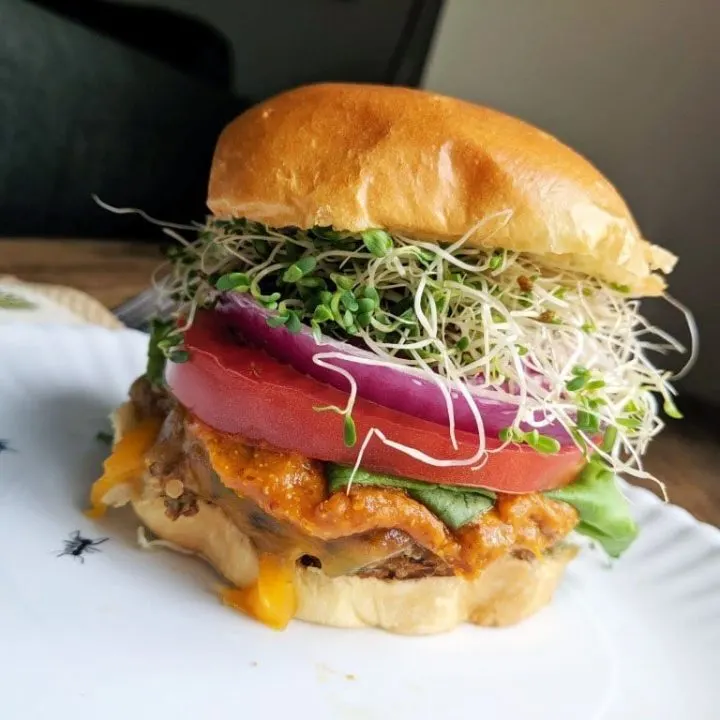 Sweet Potato Black Bean Burger with homemade BBQ Sauce