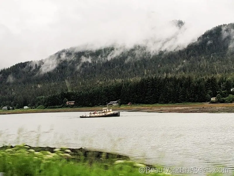 Lumberman Gastineau Channel Juneau Alaska Beauty and the Beets