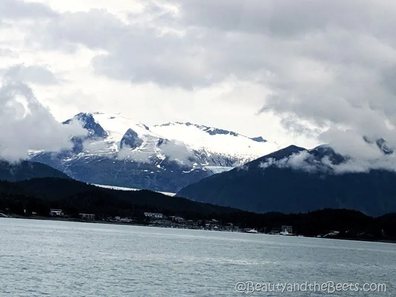 Mendenhall Glacier Juneau Whale Watching Tour Beauty and the Beets