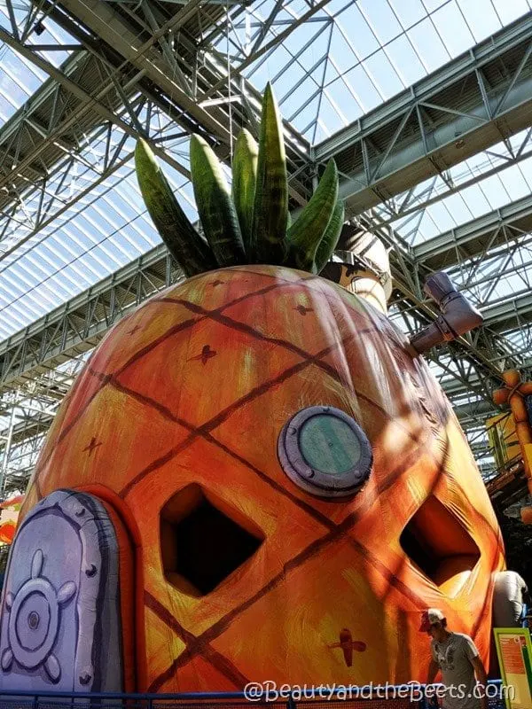 Pineapple Nickelodeon Universe Mall of America Beauty and the Beets