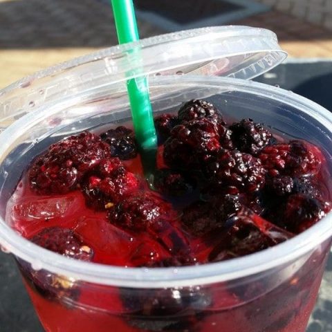 Very Berry Hibiscus Refresher (a la Starbucks)