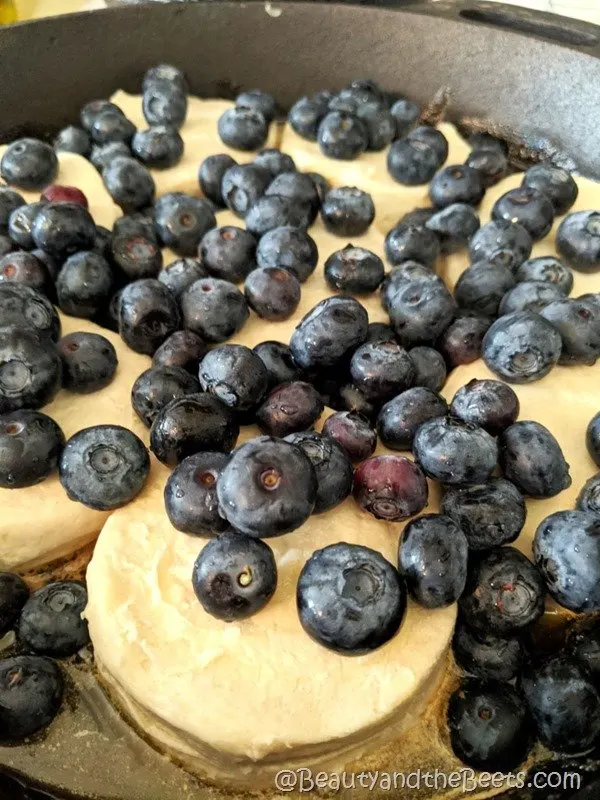 Blueberry biscuits Beauty and the Beets