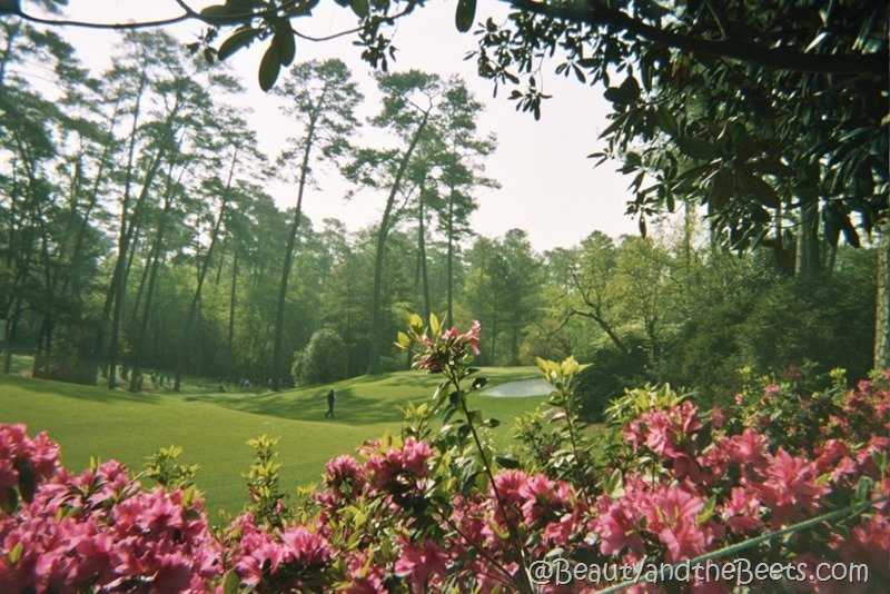 The Masters Tournament at Augusta National is perhaps one of the most famous of golf tournaments worldwide