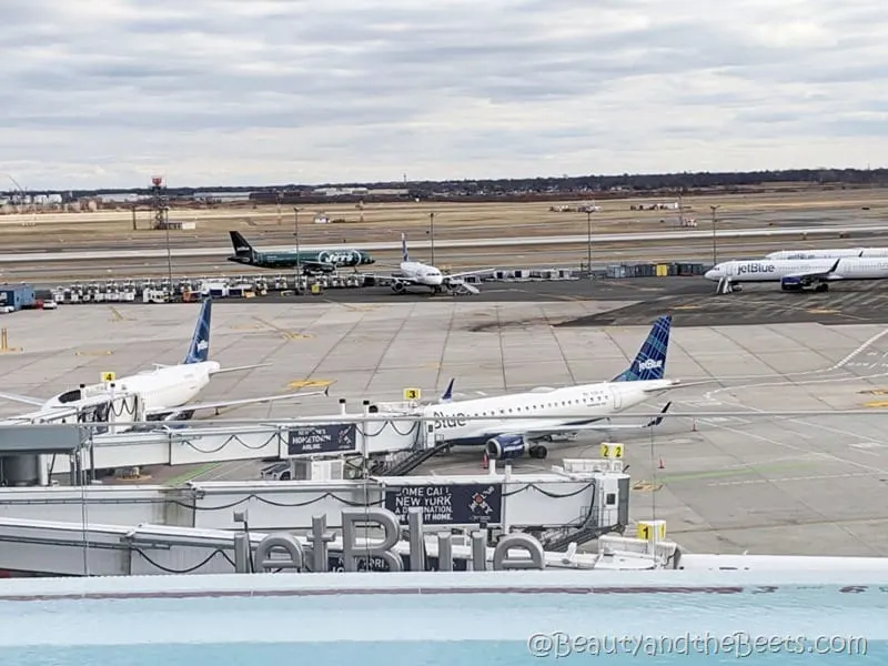 JetBlue JFK Airport TWA Hotel pool Beauty and the Beets