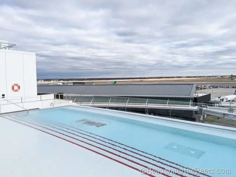 rooftop pool cuzzi TWA Hotel Beauty and the Beets