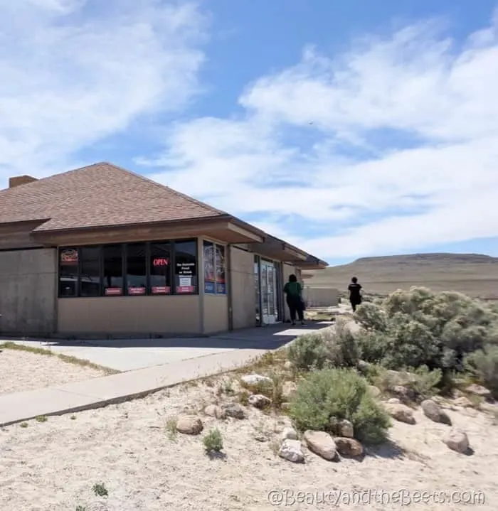 Antelope Island Restaurant Utah Beauty and the Beets