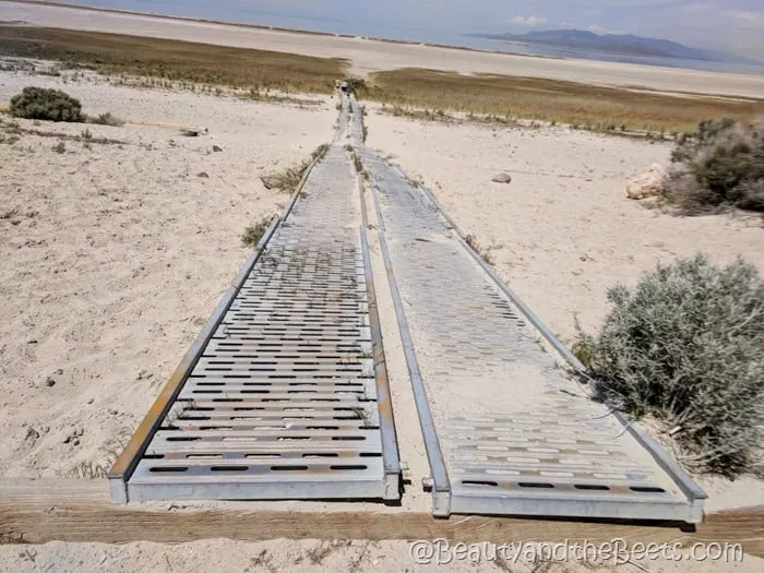 Antelope Island State Park boardwalk Beauty and the Beets