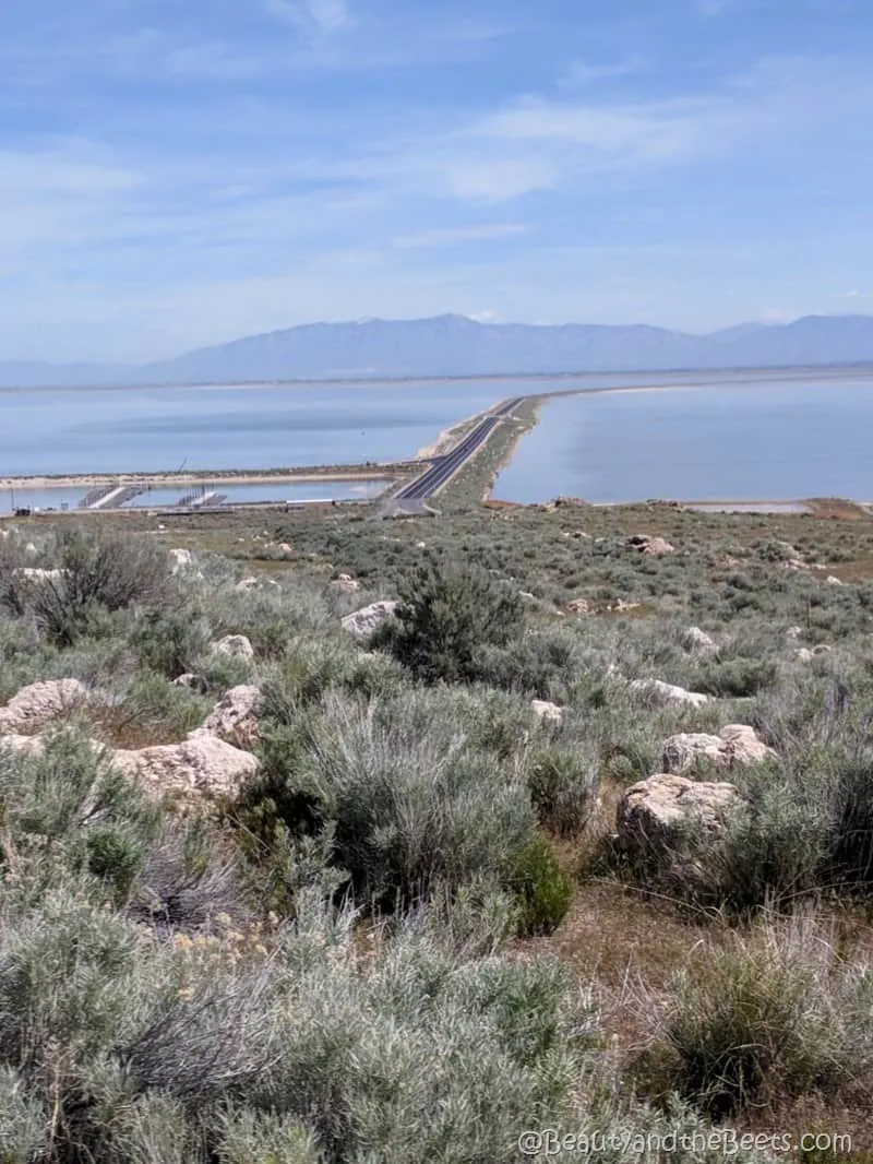 Antelope Island State Park causeway Beauty and the Beets