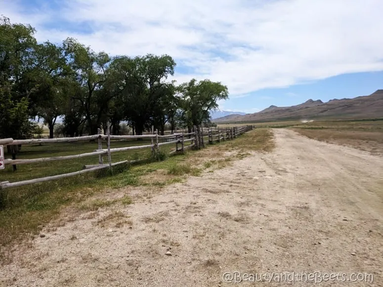 Antelope Island State Park ranch Beauty and the Beets