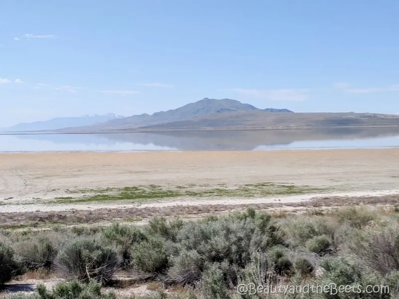 Antelope State Park Great Salt Lake Beauty and the beets