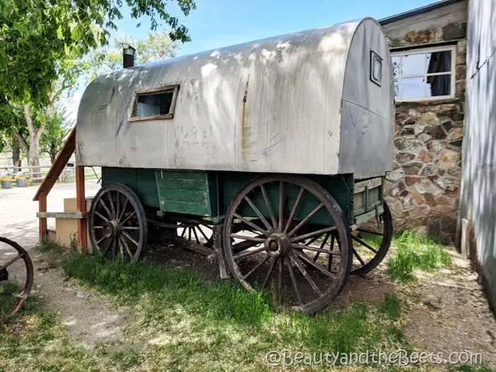 Covered Wagon Antelope Island Beauty and the Beets