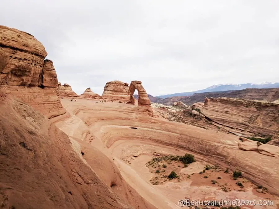 Delicate Arch basin Beauty and the Beets