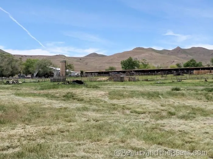 Fielding Garr Ranch Antelope Island State Park Beauty and the Beets