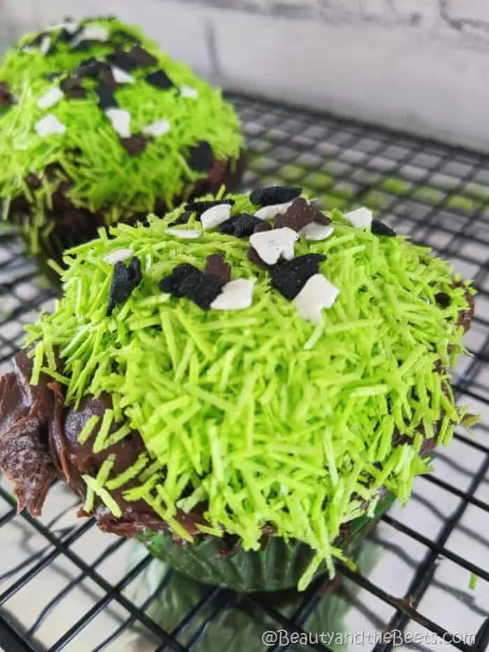 Grassy Cow Cupcakes Beauty and the Beets