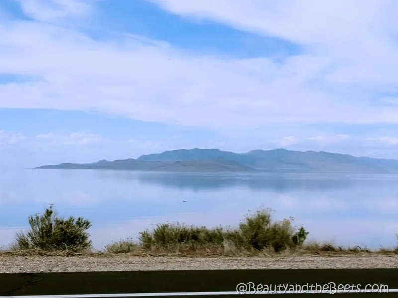 Great Salt Lake Utah Antelope Island Beauty and the Beets