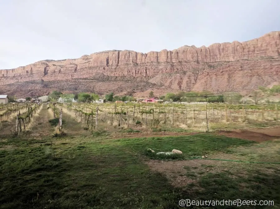 Moab Utah Beauty and the Beets