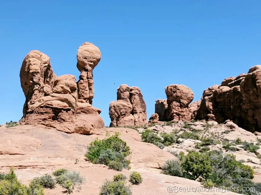 The Arches National Park Utah (1)
