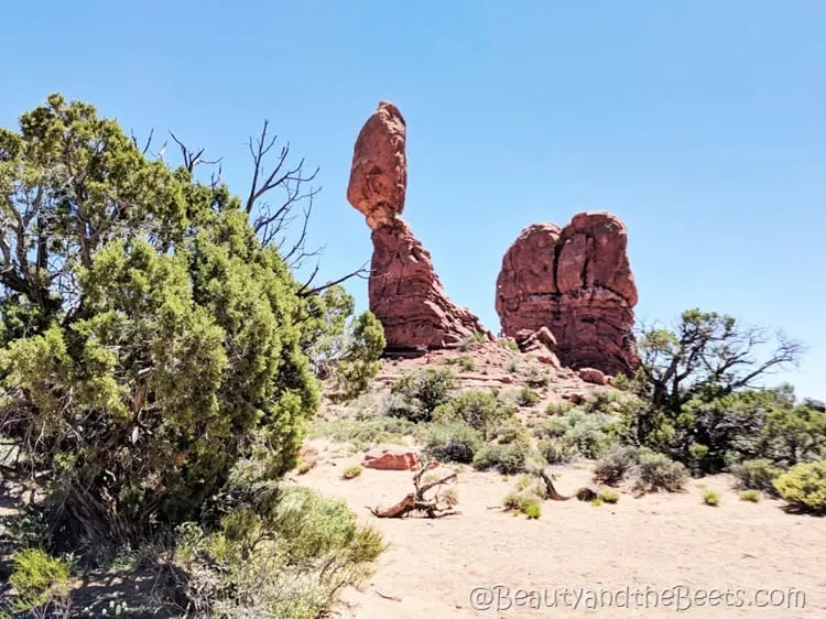 The Arches National Park Utah (3)