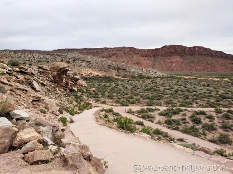 The Arches hiking Beauty and the Beets