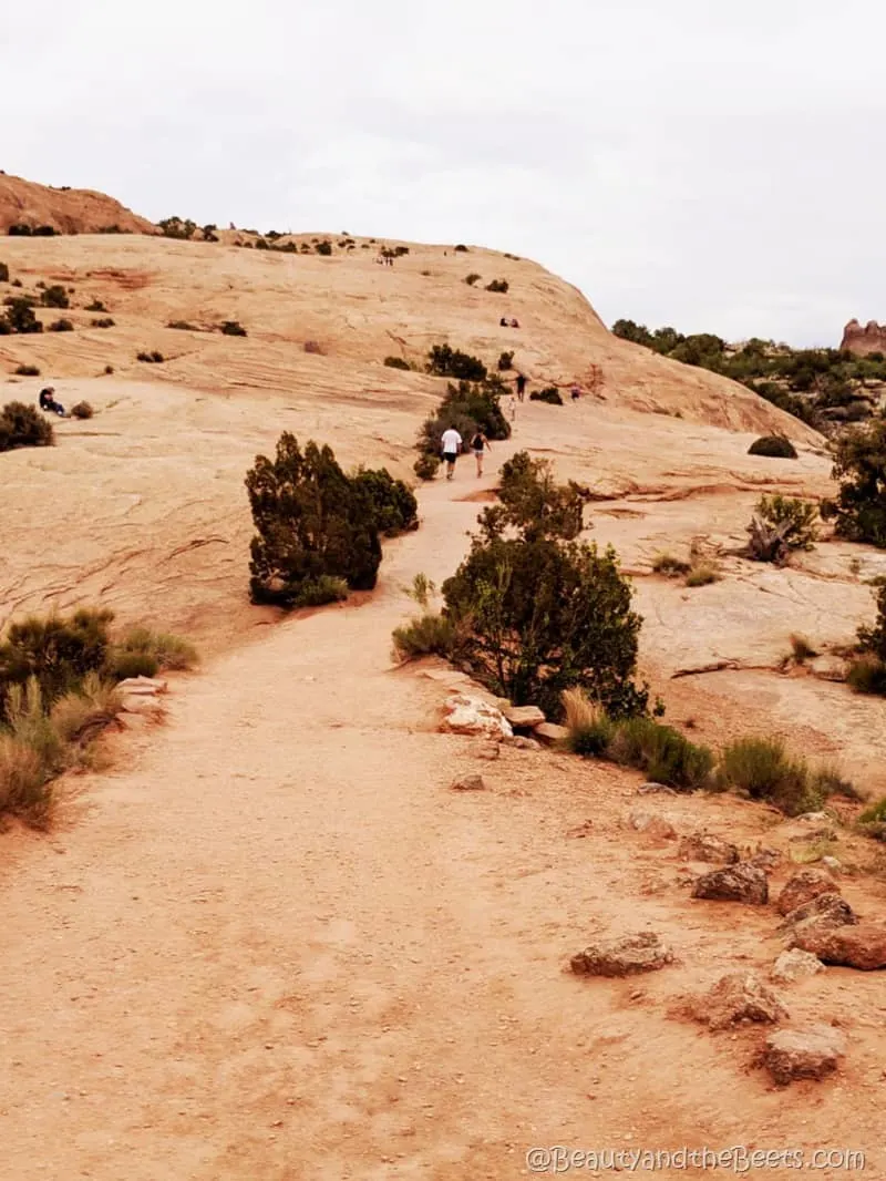 The Arches hiking trail Beauty and the Beets