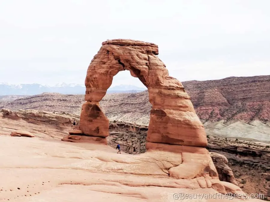 The Delicate Arch Arches National Park Beauty and the Beets