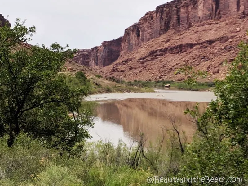 The Green River Utah Beauty and the Beets