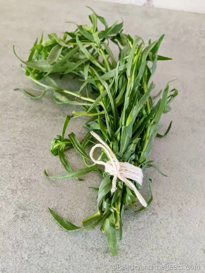 Tarragon Beauty and the Beets