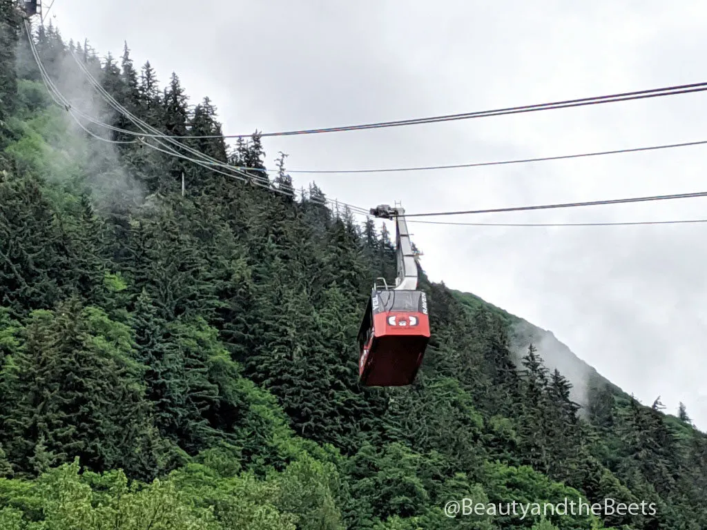 The Juneau tram, also known as the Mt. Roberts Tramway, is the only aerial tramway in Southeast Alaska.