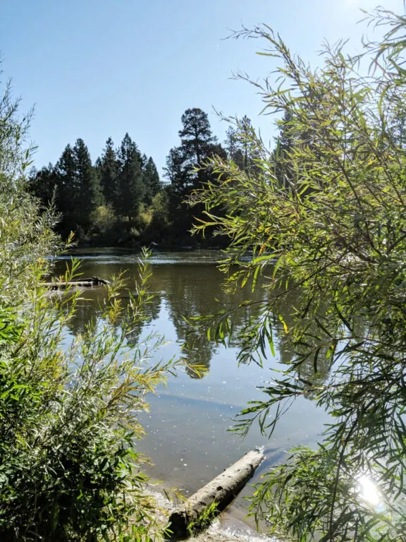 A group of four women set out on an adventure - fly fishing in Missoula, Montana.