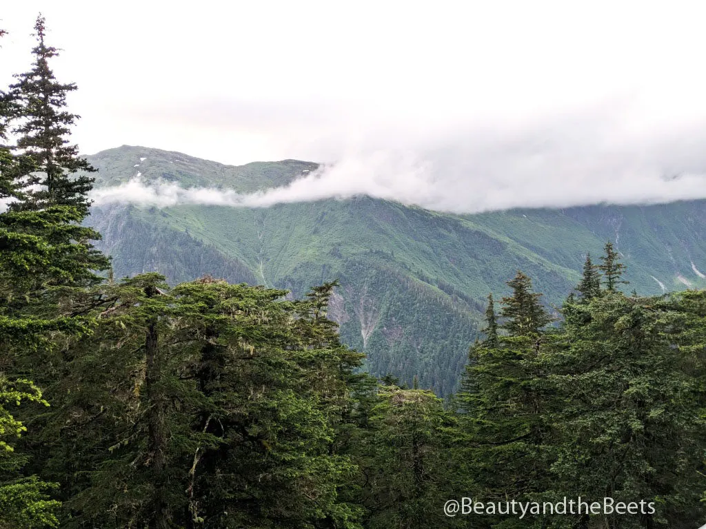 The Boundary Ranges of the Coast Mountains separate Alaska and the United States from British Columbia and Canada