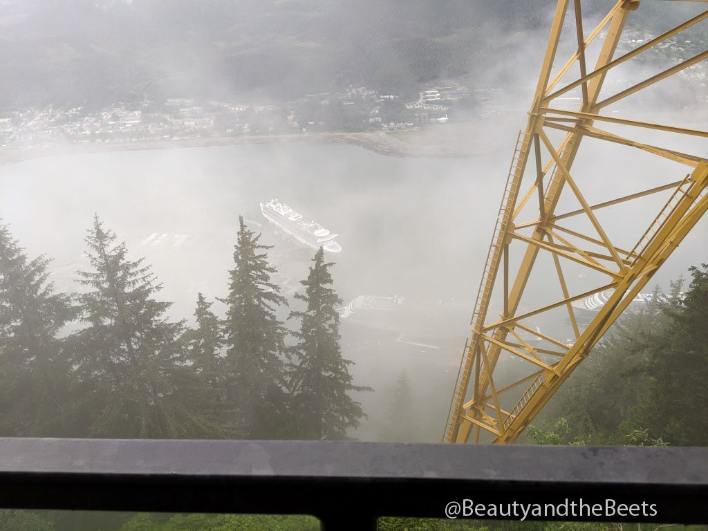 The Juneau tram, also known as the Mt. Roberts Tramway, is the only aerial tramway in Southeast Alaska.