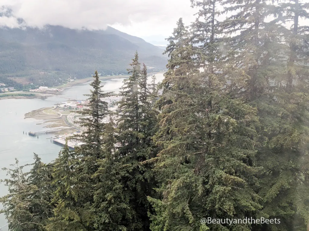 The Juneau tram, also known as the Mt. Roberts Tramway, is the only aerial tramway in Southeast Alaska.